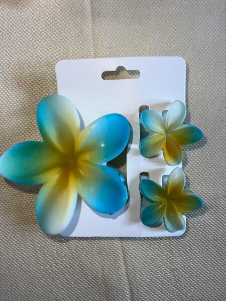 Pins floraux colorés