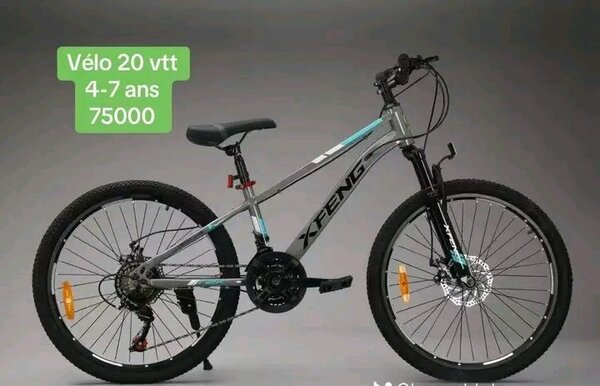 Vélo enfant 20 pouces 4-7 ans
