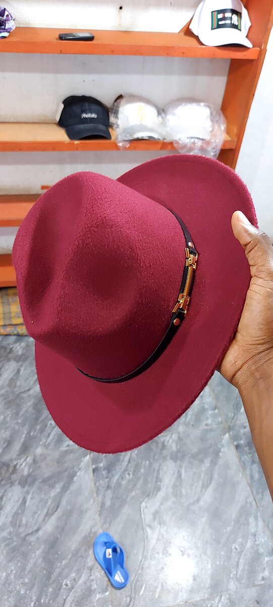 Chapeaux Fedora Élégants