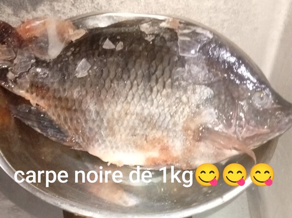 Carpe ( noire et grise)