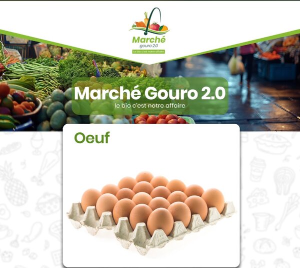 Oeufs frais biologiques