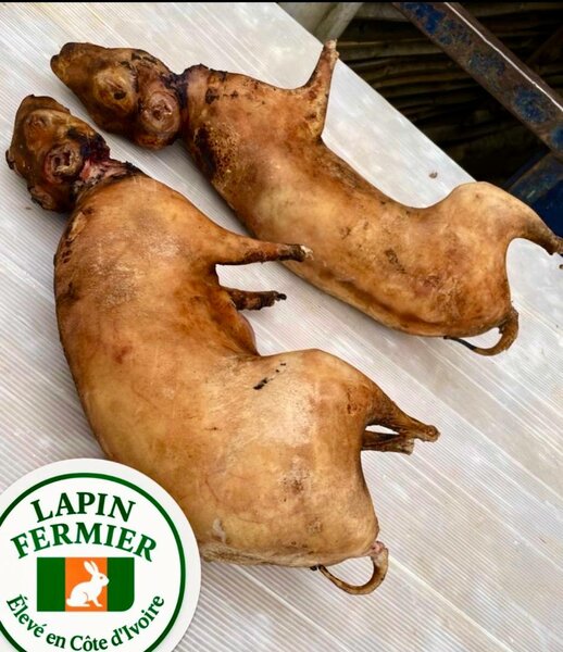 Saveur Fumée du Lapin Fermier