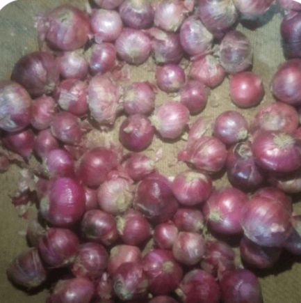 Onion 1kg