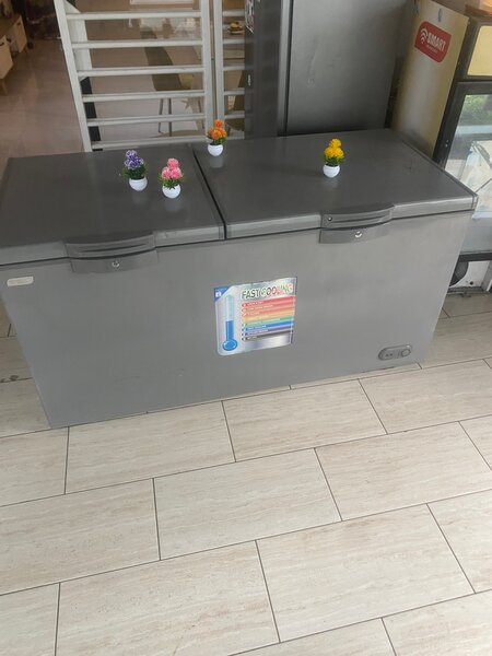 Congélateur Coffre Grande Capacité