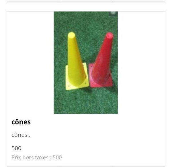 Lot de 10 CÔNES 20 cm