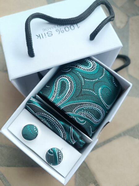 Elegant Men's Tie Set