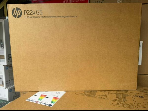 HP P22v G5 Moniteur FHD 22"