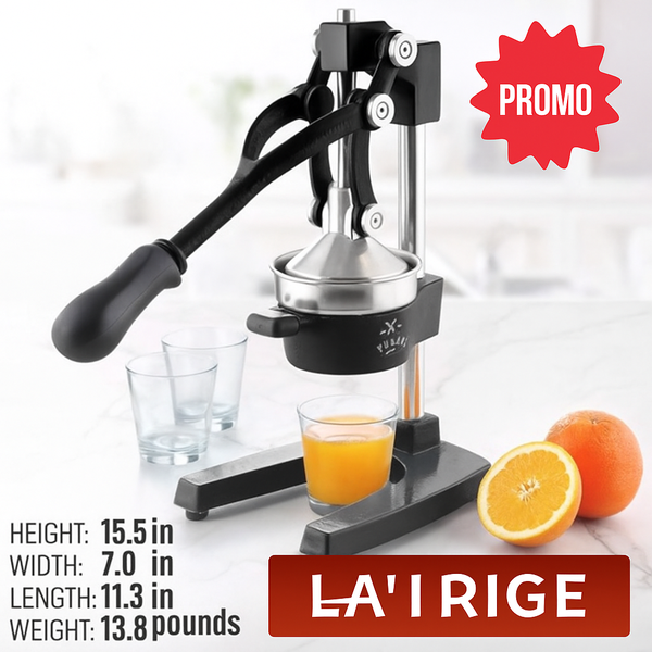 Presse-agrumes manuel robuste