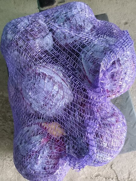 Choux rouges en filet 10kg