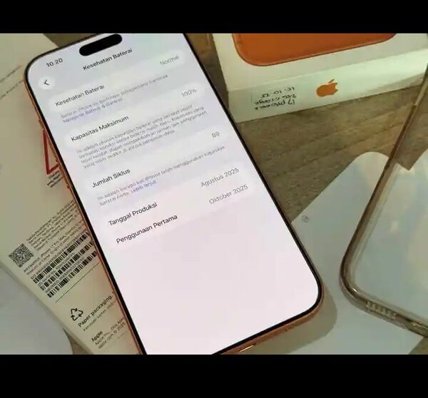 iPhone 15 Pro Max Orange