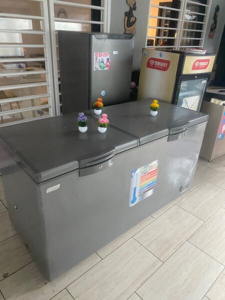 Congélateur Coffre Grande Capacité