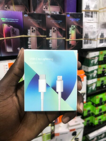 Câble USB-C vers Lightning 1m