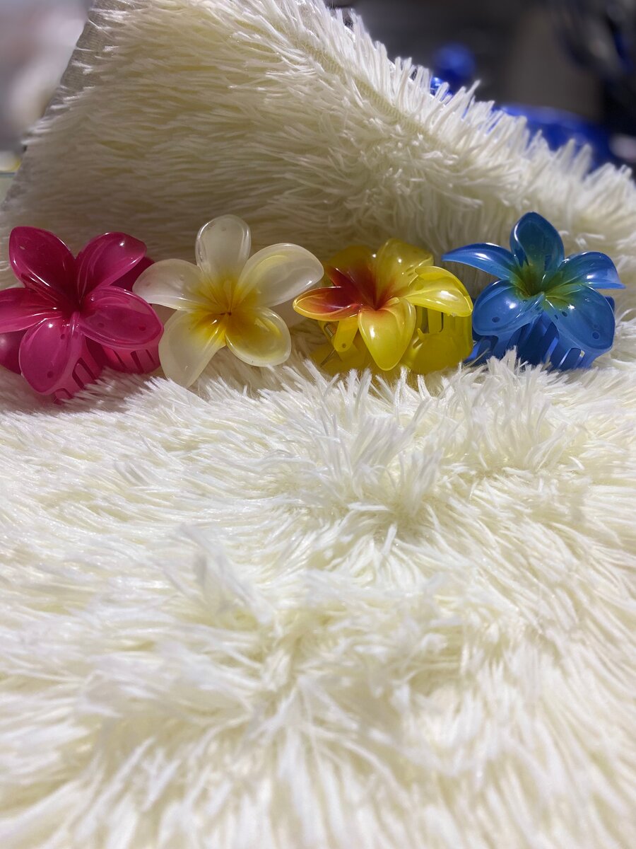 Pinces à cheveux fleurs colorées