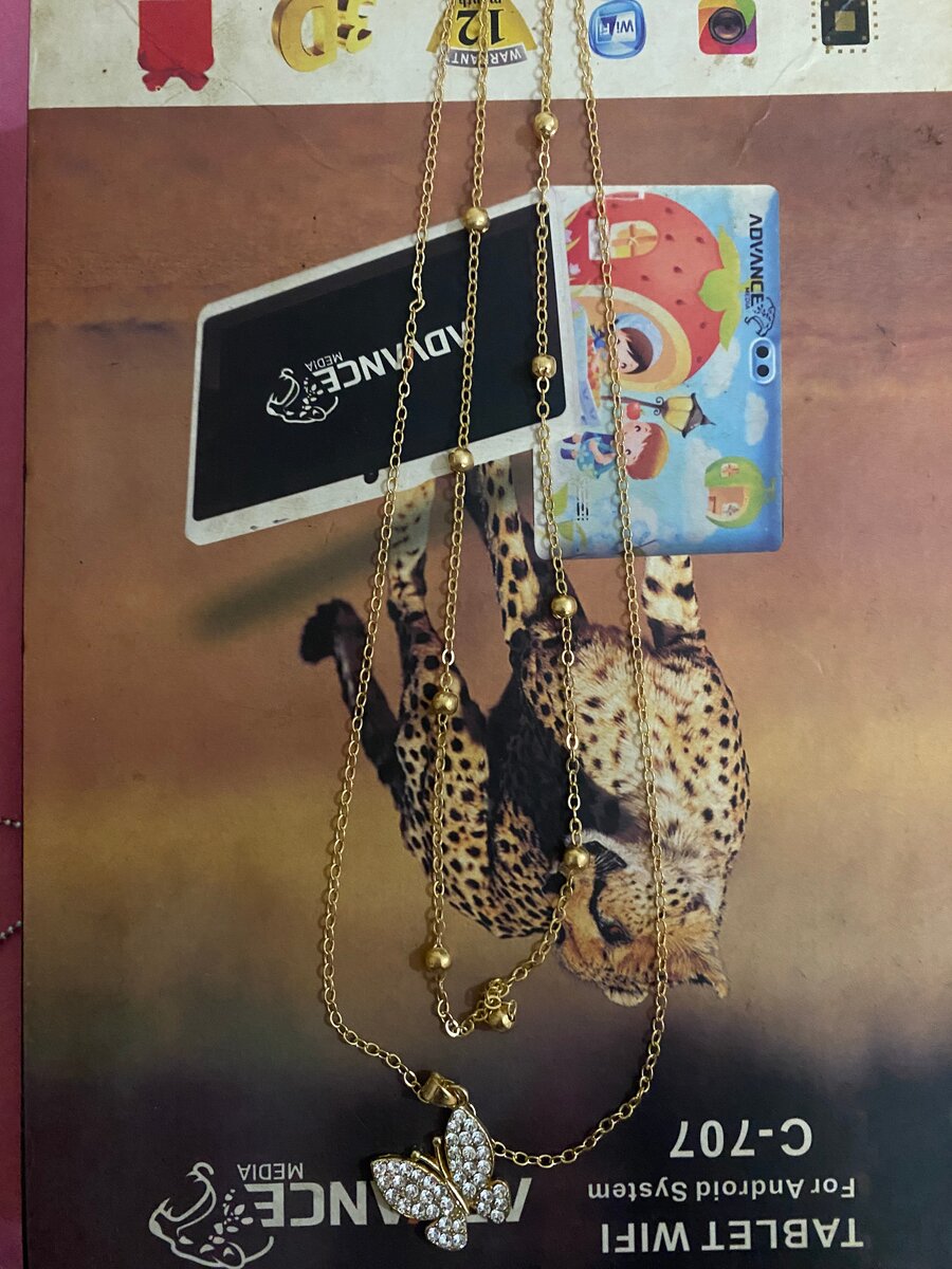 Palette de Maquillage Multifonction