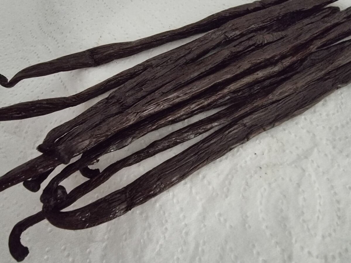 50Gr Gousse de Vanille Bourbon