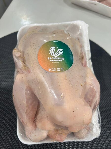 Poulet chair halal 1,6-1,7 kg