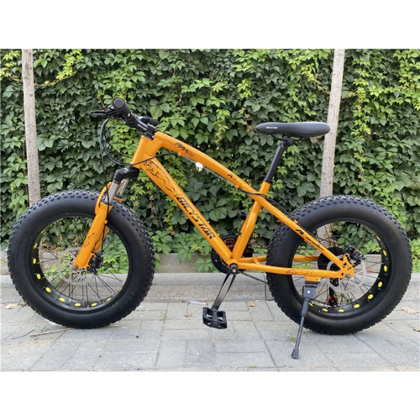 Vélo Fat Bike Tout-Terrain