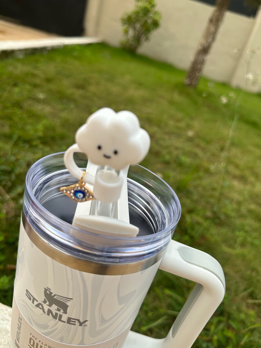 Stanley 40oz tumbler