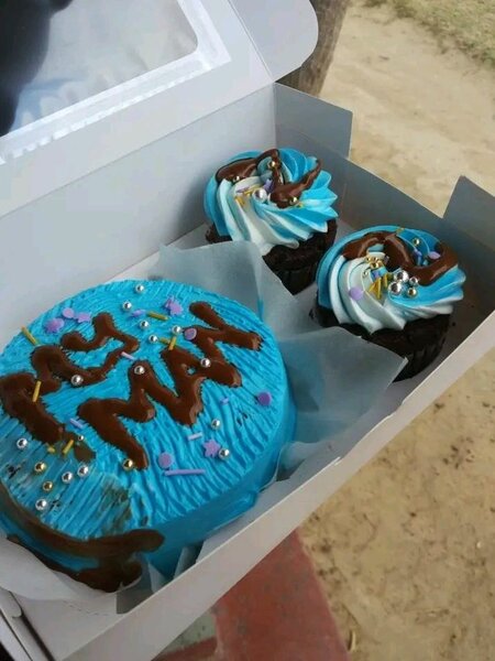 Bento cakes and cupcakes