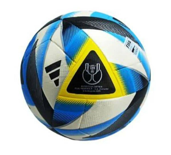 Ballon de foot pro en cuire 04