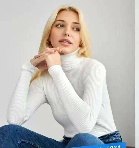 Chic Pull Col Roulé Femme