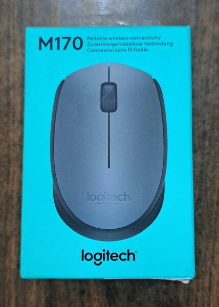 Souris Sans Fil Logitech M170