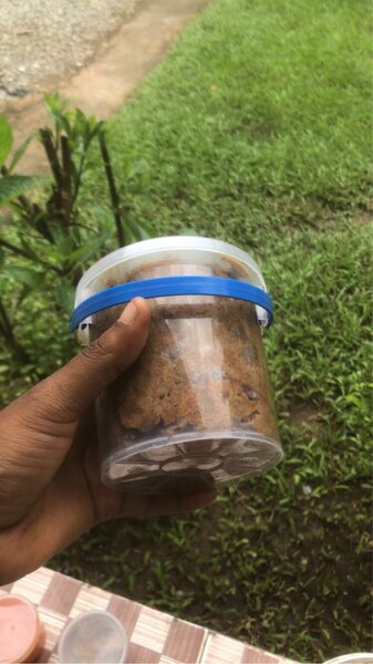 Sacs à main colorés élégants