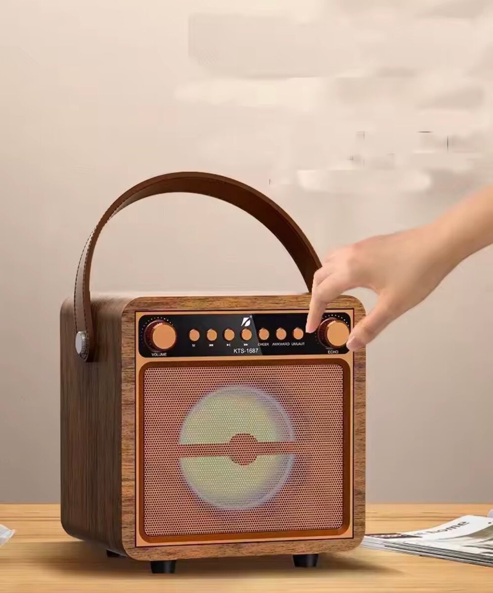 Enceinte Karaoké Portable Bois