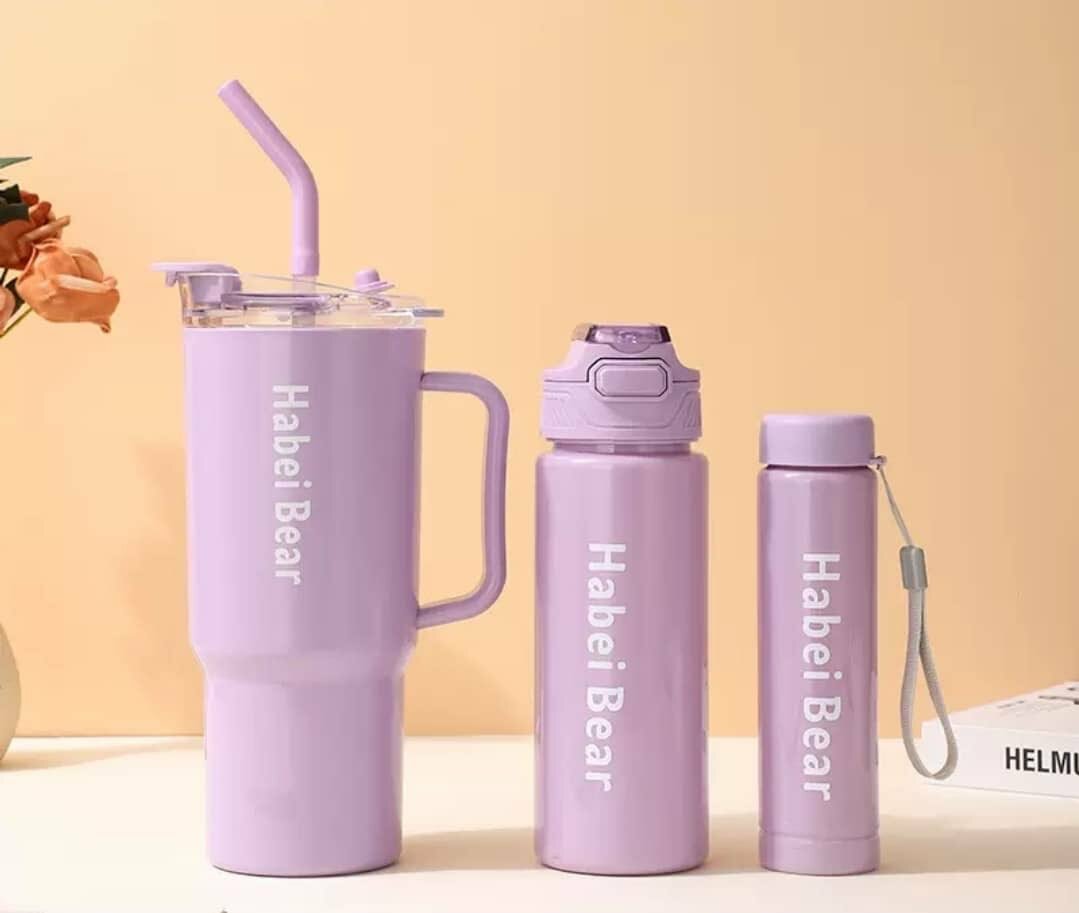 3 in 1 water and food bottle