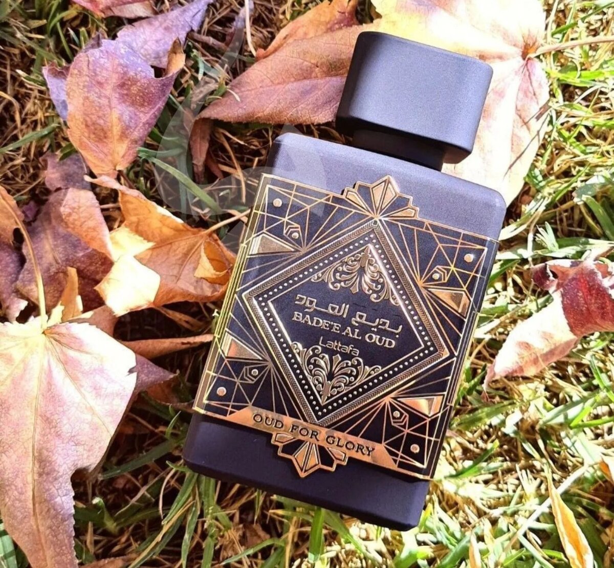 Badee al oud, Oud for Glory