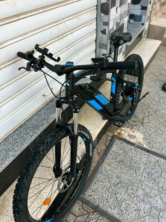 Vélo tout terrain électrique