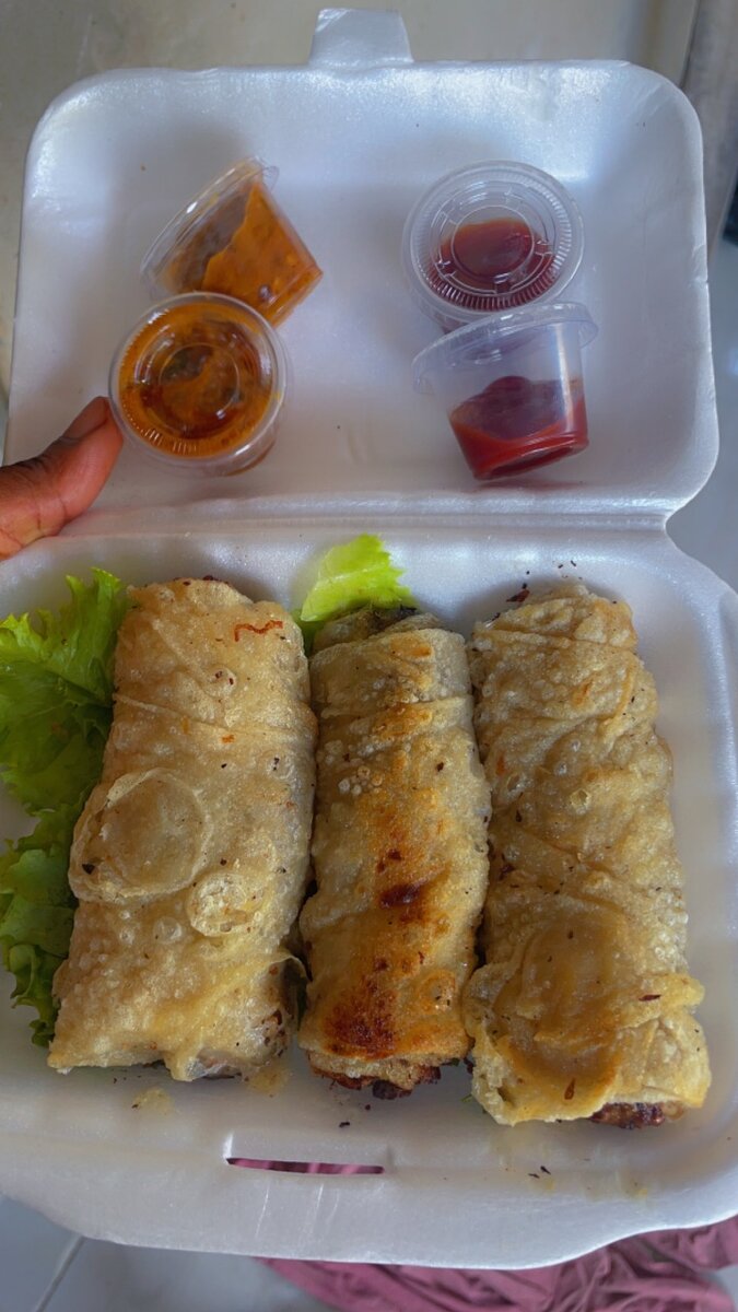 Nems à la viande / poulet