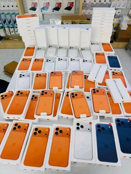 Smartphones haut de gamme