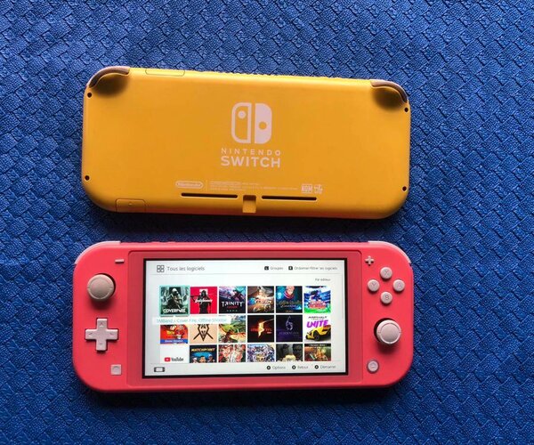 Nintendo Switch lite +20 jeux installés