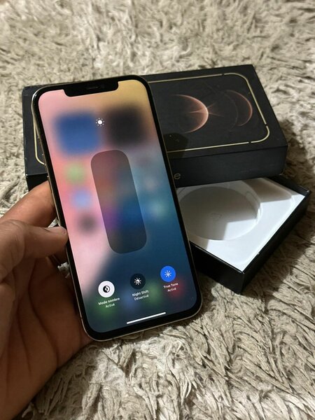 IPHONE 12 PRO MAX 256G