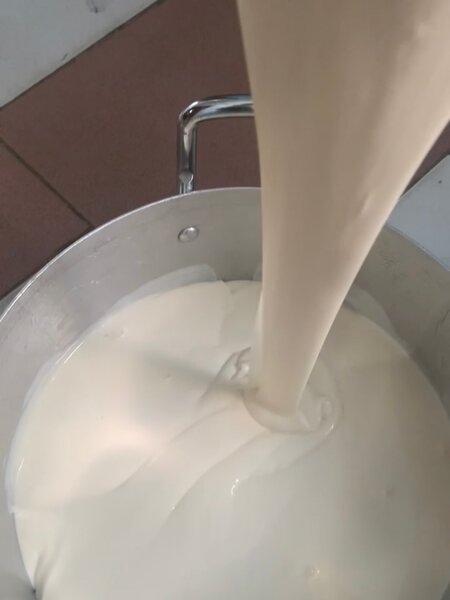 Lait Caillé Frais Naturel