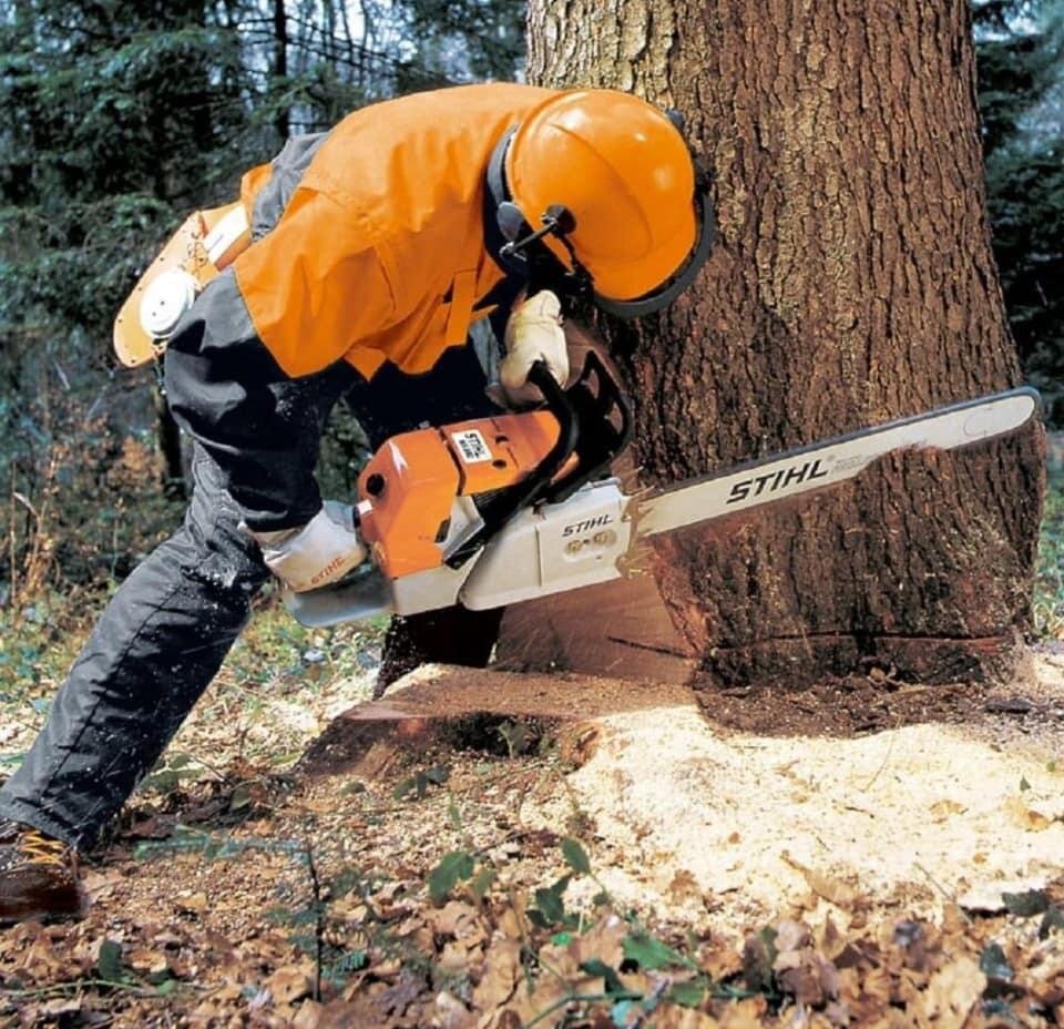 Tronçonneuse professionnelle 70 cm3 STihl