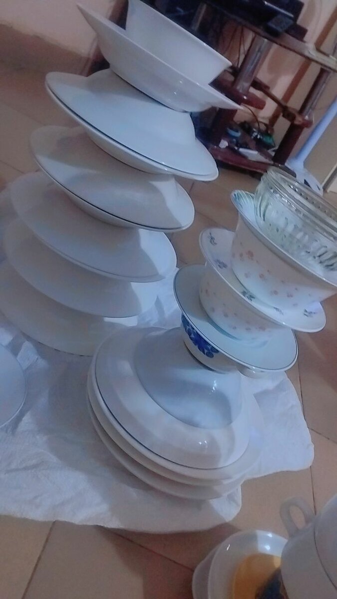 Service de Vaisselle Moderne