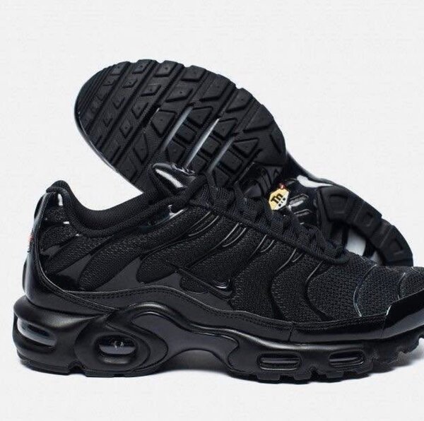 Chaussures Nike Air Max