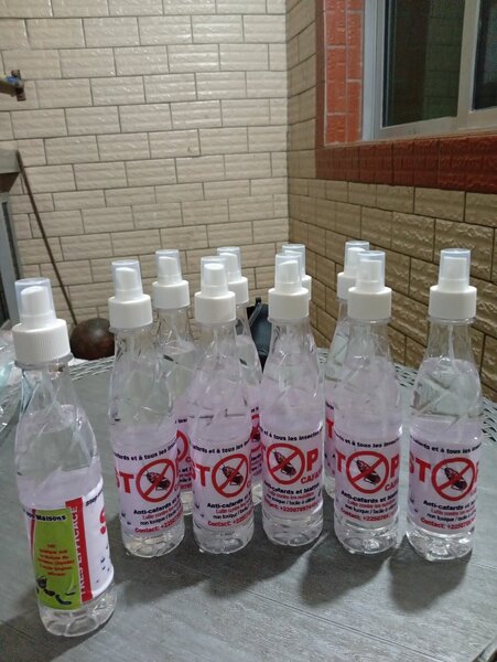 Spray anti-insectes maison