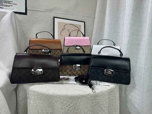 Sac à main Coach en cuir marron