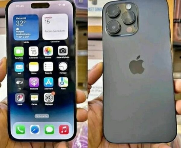 Apple iPhone 15 Pro Max gris