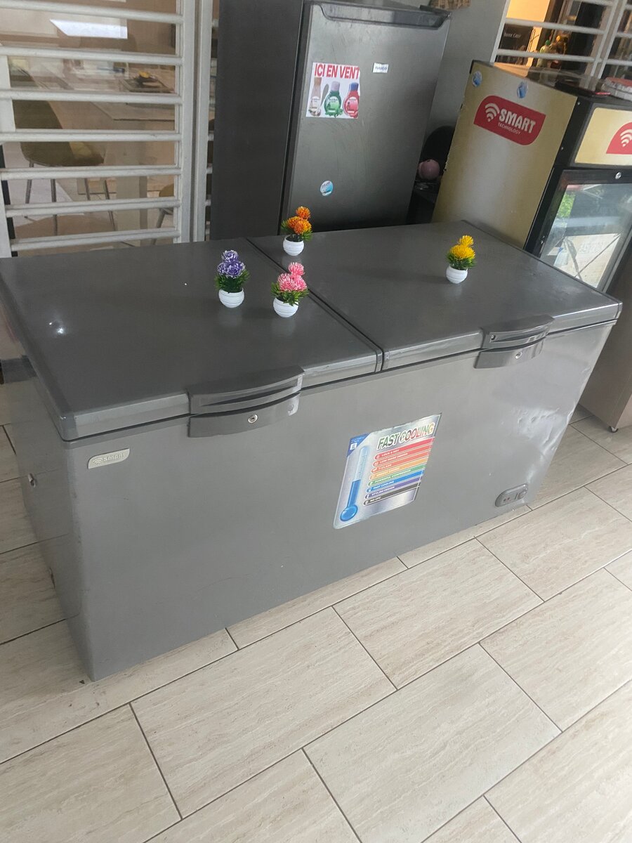 Congélateur Coffre Grande Capacité