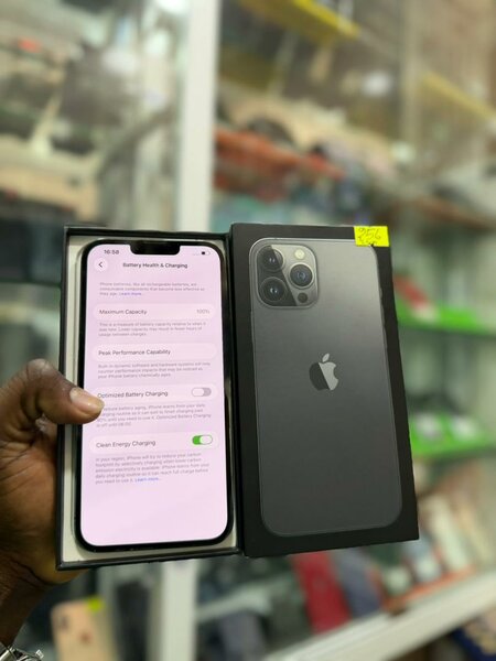 iPhone 13 Pro Max 512GB