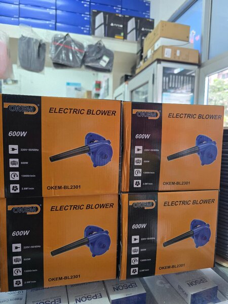 Souffleur Électrique 600W