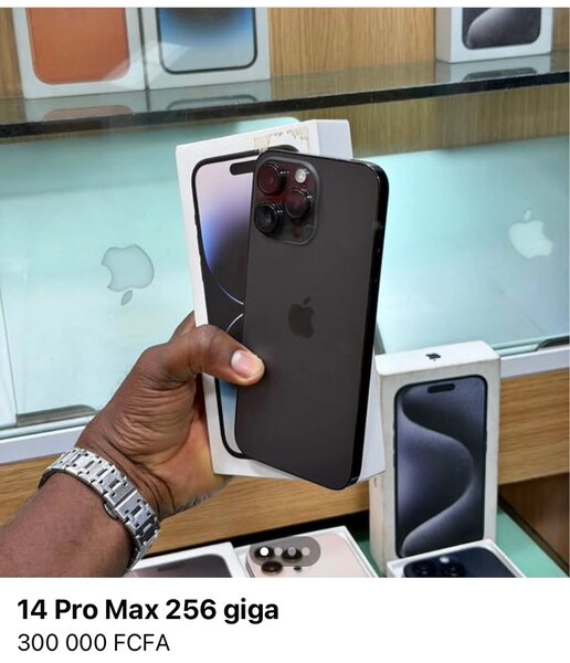 iPhone 14 Pro Max 256 Go