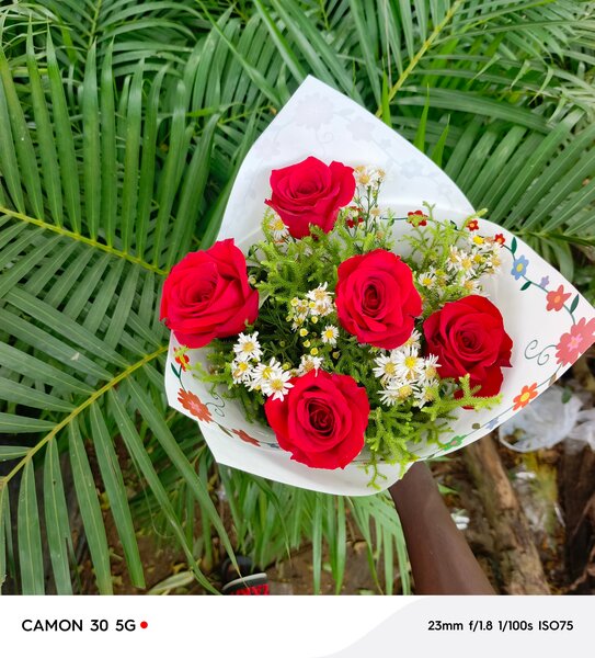 Bouquet de roses rouges