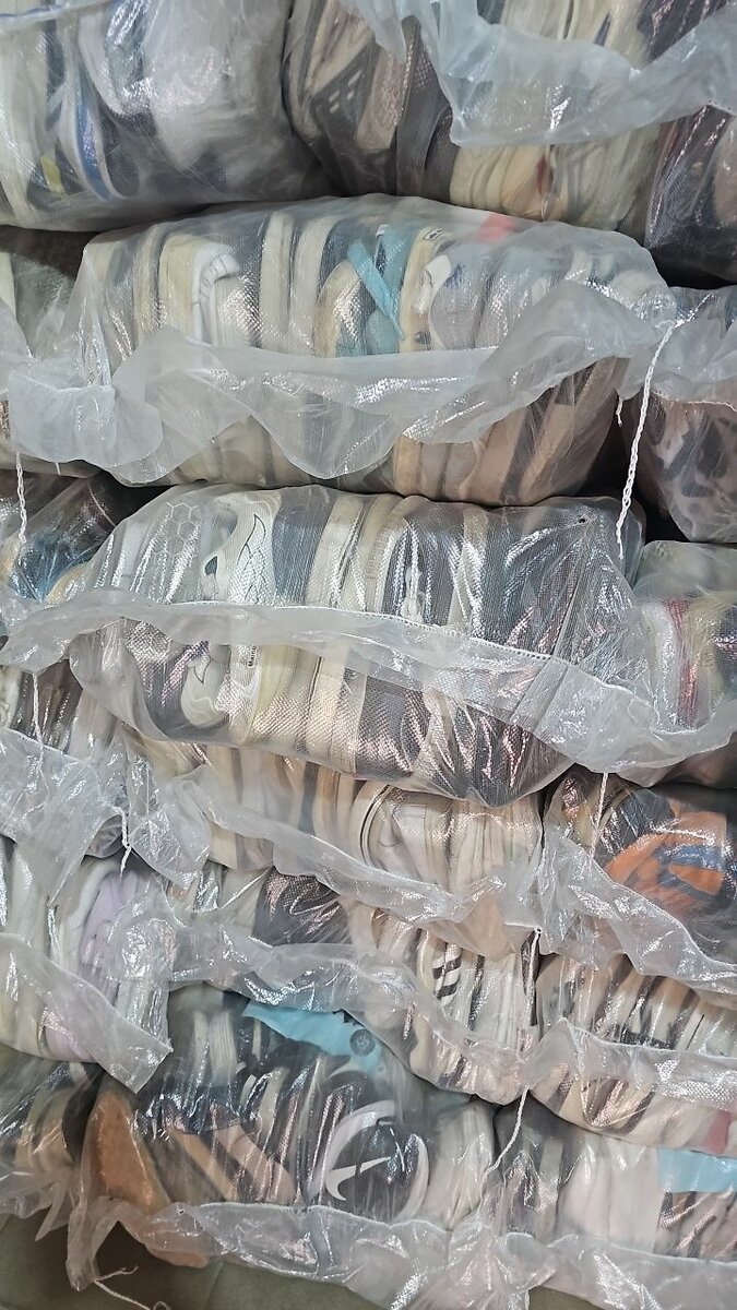 Lot de Sneakers pour Hommes