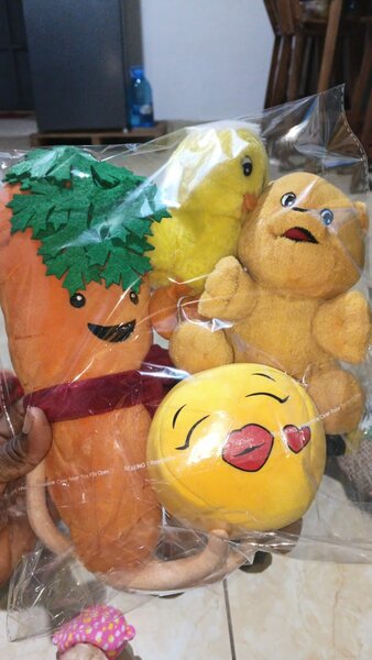 Peluches en forme de légumes