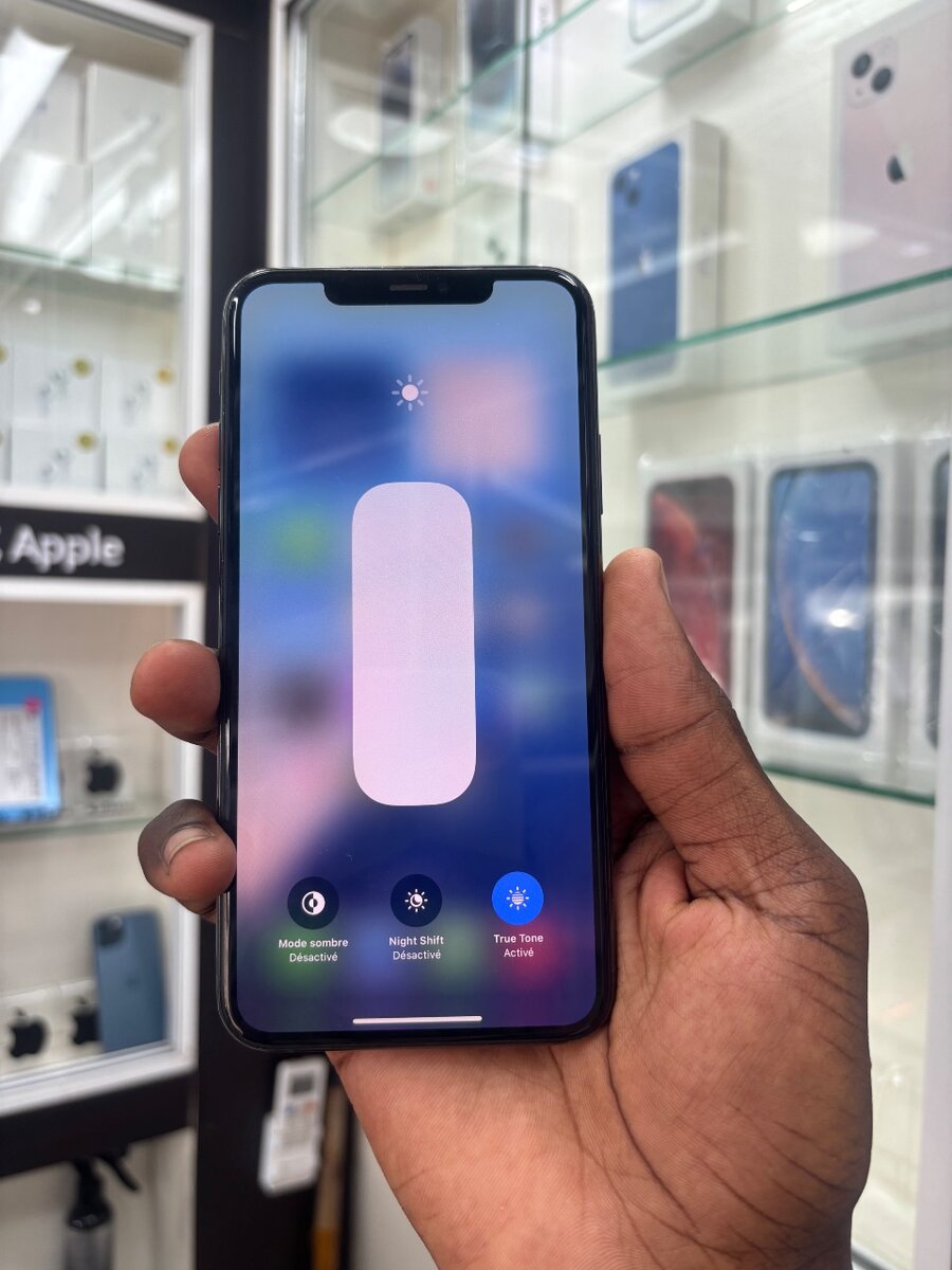 iPhone 11 Pro Max 256Go